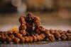 Rudraksha Guide for Beginners: Meaning, Mukhi Types, How to Wear & Care