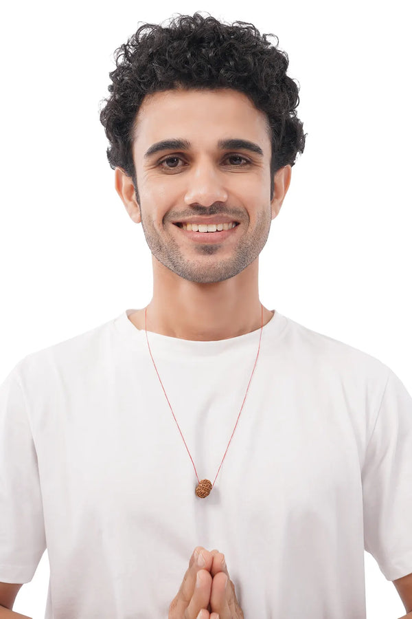 10 Mukhi Rudraksha (Indian)