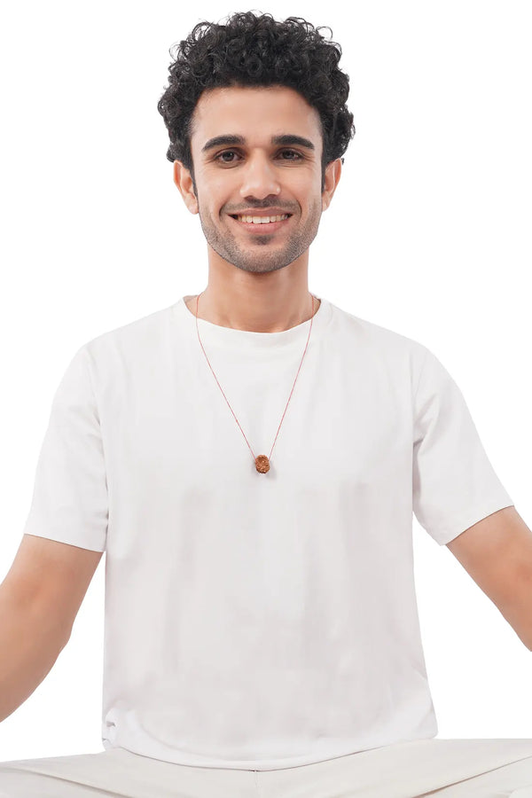 11 Mukhi Rudraksha (Indian)