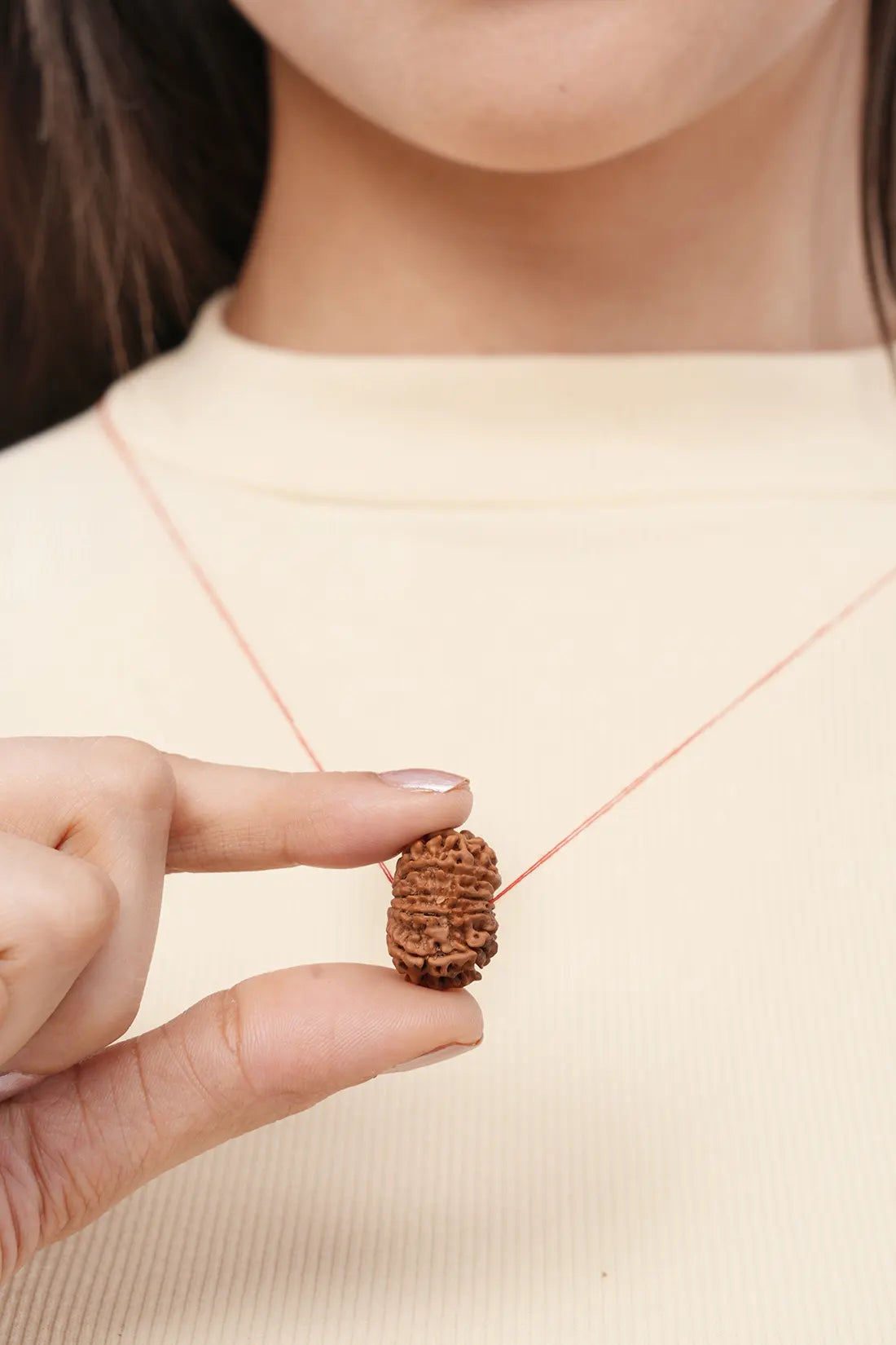 11 Mukhi Rudraksha (Indian)