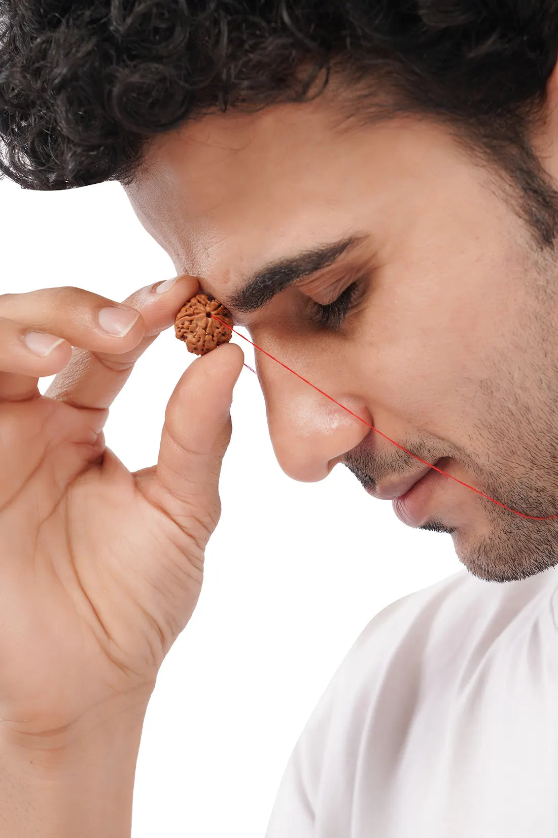 5 Mukhi Rudraksha (Indian)