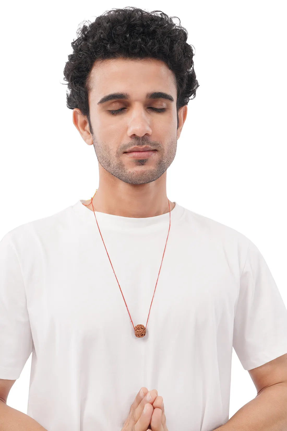 6 Mukhi Rudraksha (Indian)