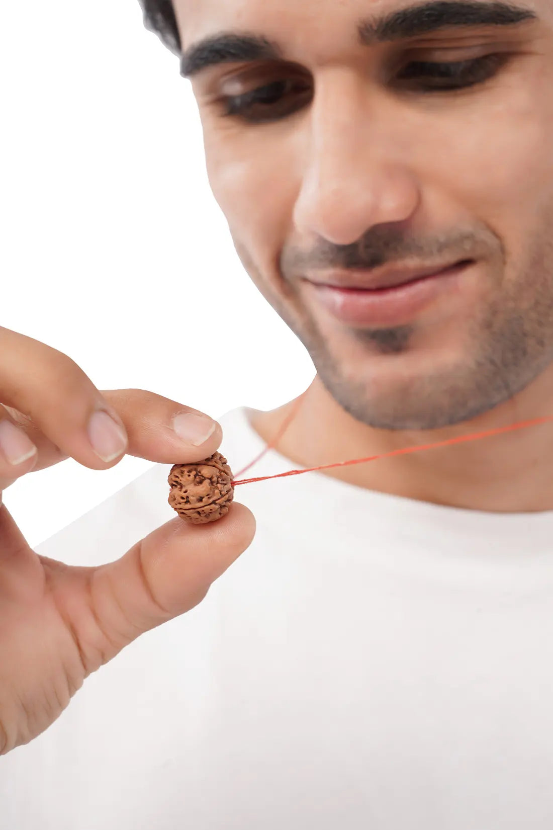 6 Mukhi Rudraksha (Indian)