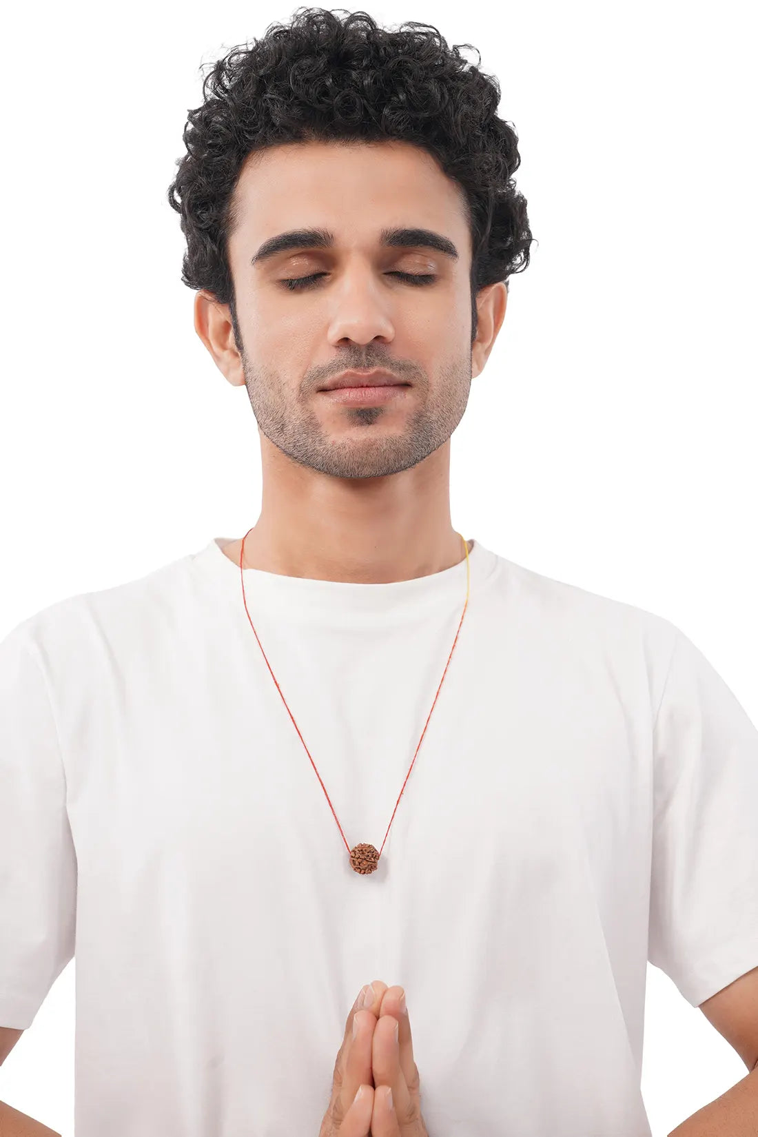 7 Mukhi Rudraksha (Indian)