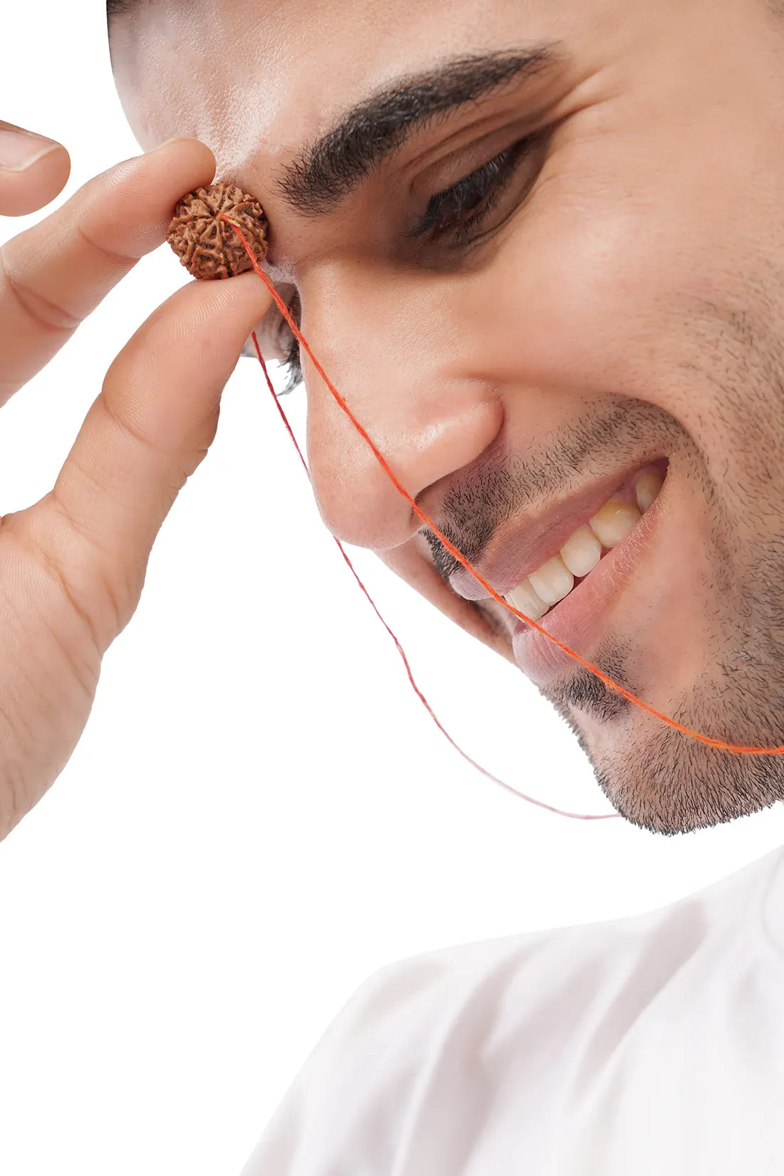 7 Mukhi Rudraksha (Indian)
