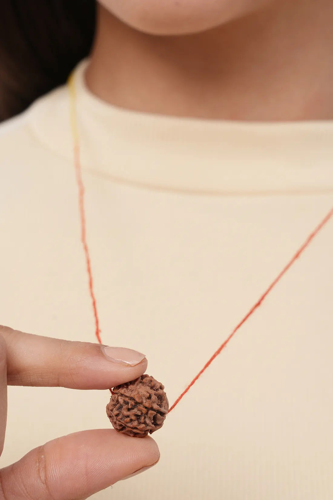 7 Mukhi Rudraksha (Indian)