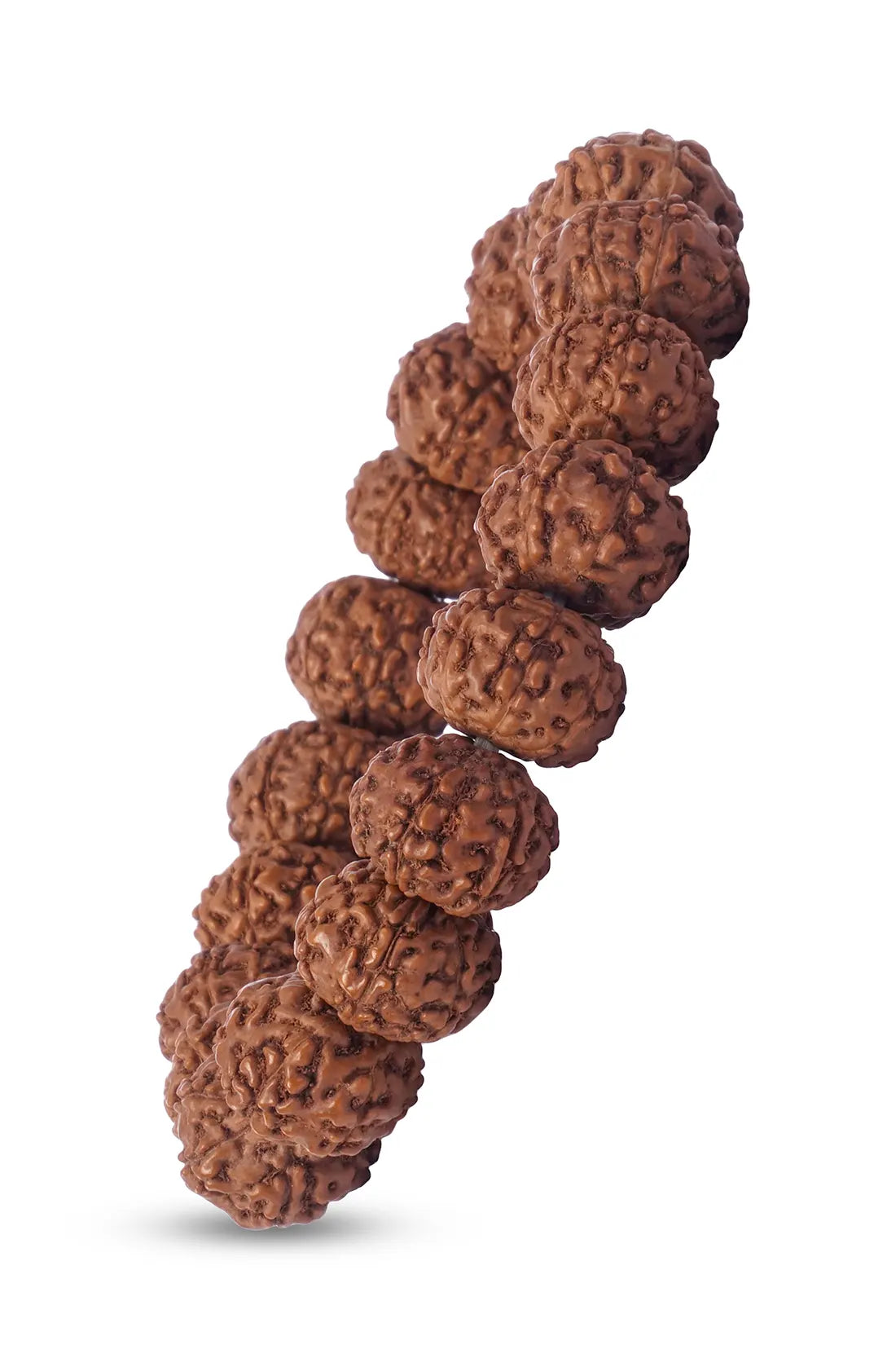 7 Mukhi Rudraksha Bracelet