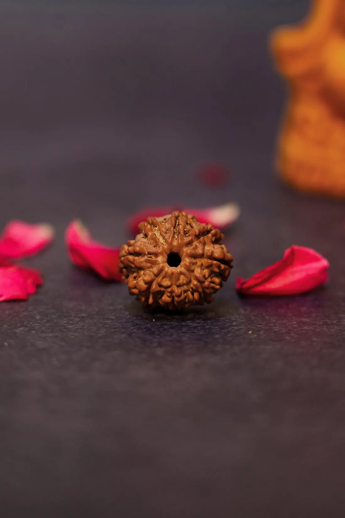 8 Mukhi Rudraksha (Indian)