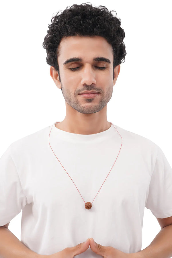 8 Mukhi Rudraksha (Indian)