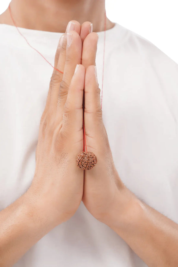 8 Mukhi Rudraksha (Indian)