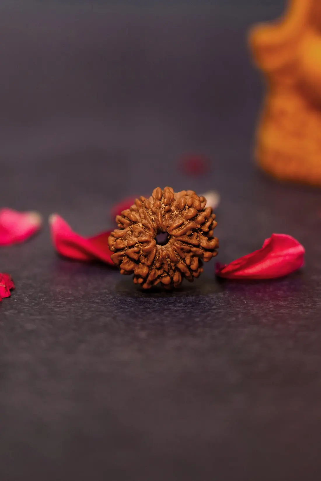 9 Mukhi Rudraksha (Indian)