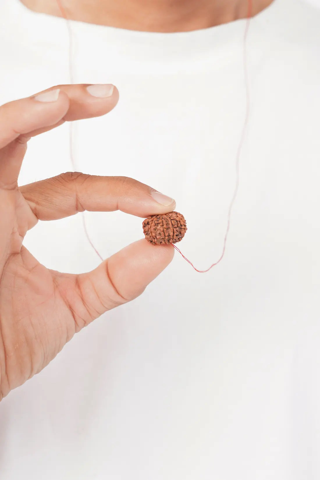 9 Mukhi Rudraksha (Indian)