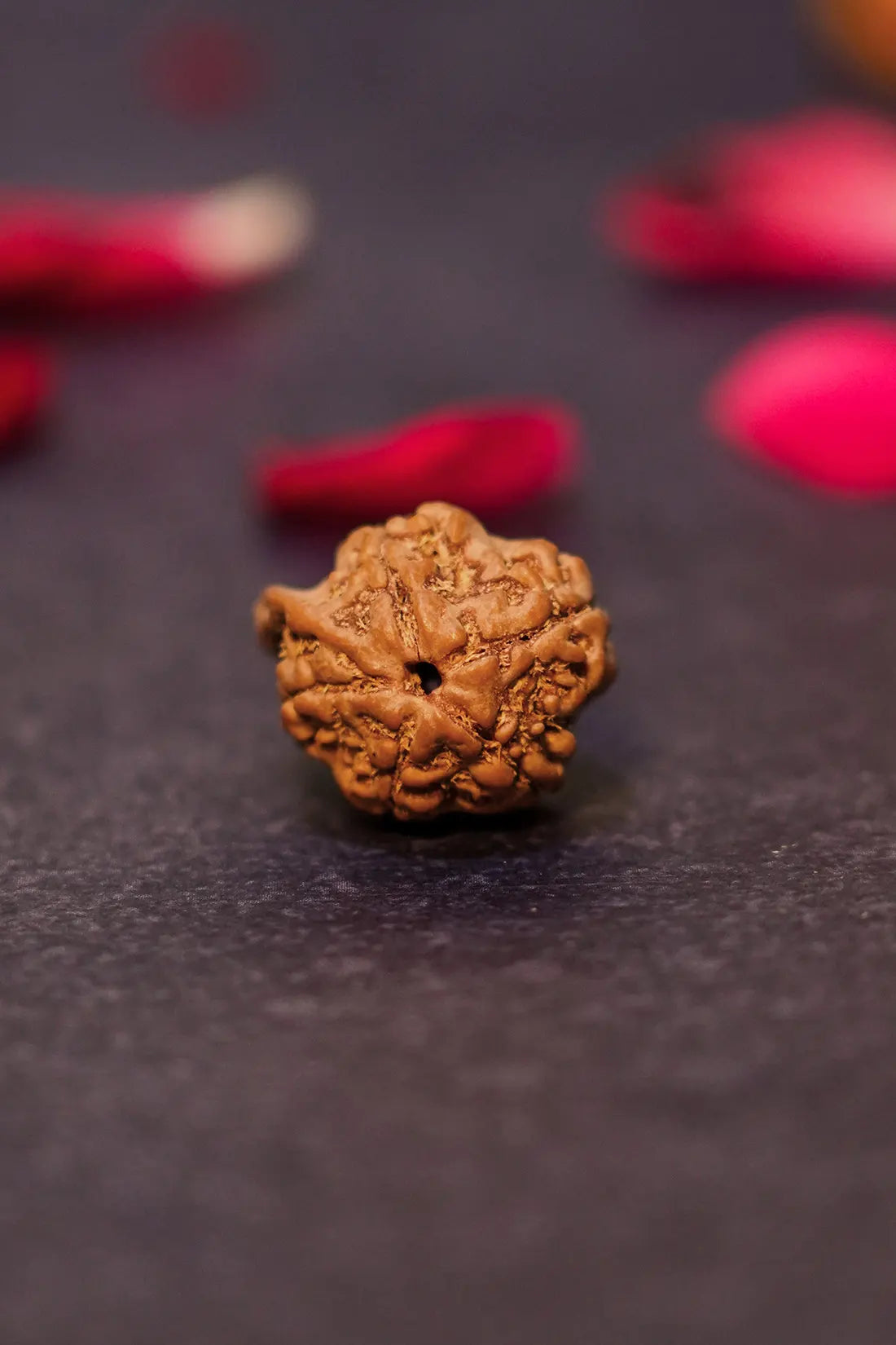Ganesha Rudraksha (Indian)
