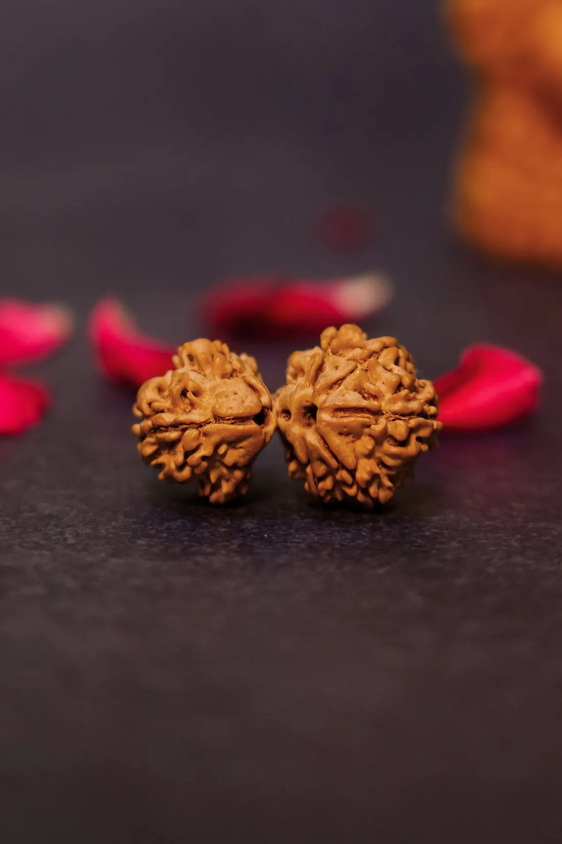 Gauri Shankar Rudraksha (Indian)