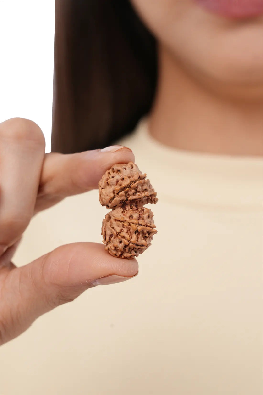 Gauri Shankar Rudraksha (Indian)